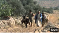 Assistir Parables about a Lost Sheep, a Lost Coin and a Lost Son (35 of 55)(Mirpuri-Pahari)
