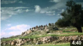 Assistir Parables by Hazrat 