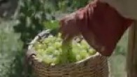 Assistir John 15:1-17 