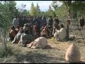 Assistir Luke 12:1-59 Assistir Luke 12:1-59