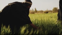 Assistir Matthew 13:1-30 - Parable of the seeds  [bzj]